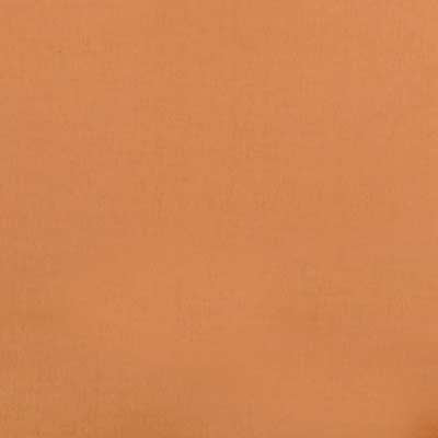 32498 | 451-PAPAYA