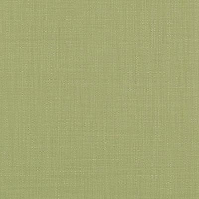36262 | 257-Moss - Upholstery - Fabric