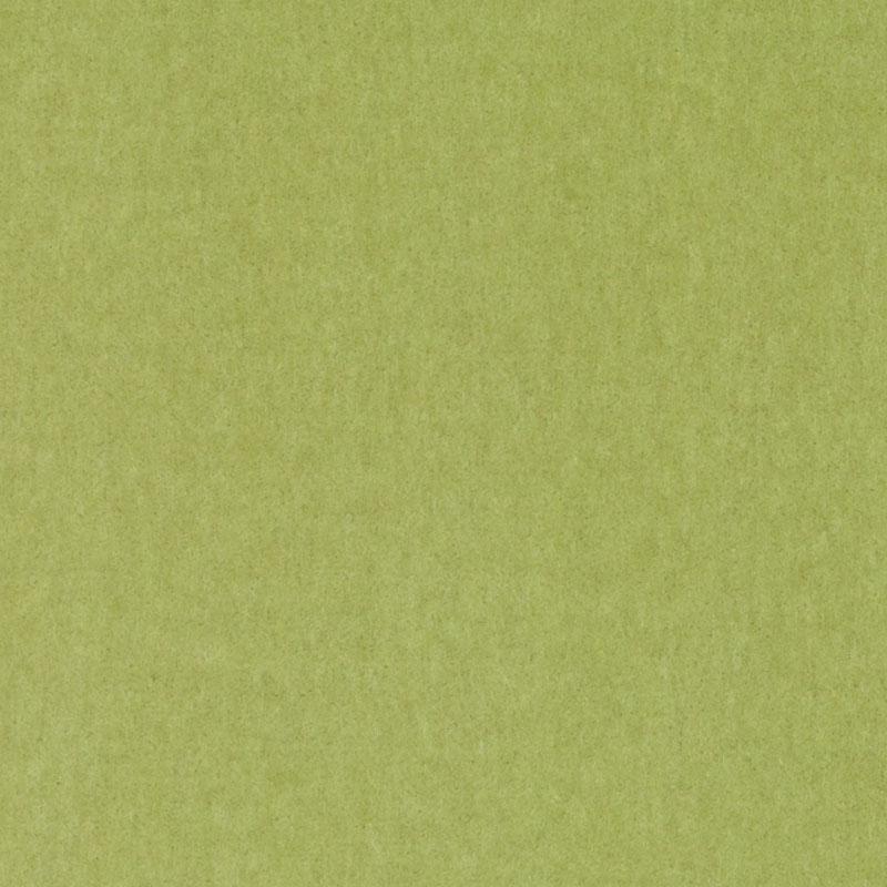 HV16156 | 243-HONEY DEW