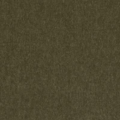 Hv16156 | 354-Basil