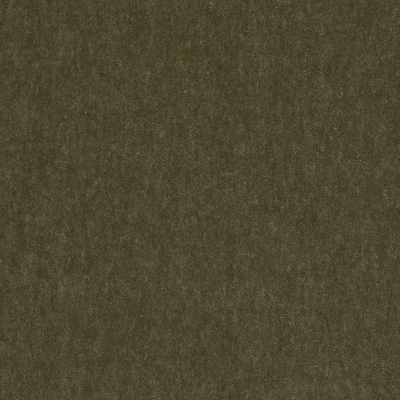 Hv16156 | 354-Basil
