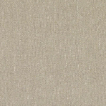 32813 | 343-CACTUS - Upholstery - Fabric