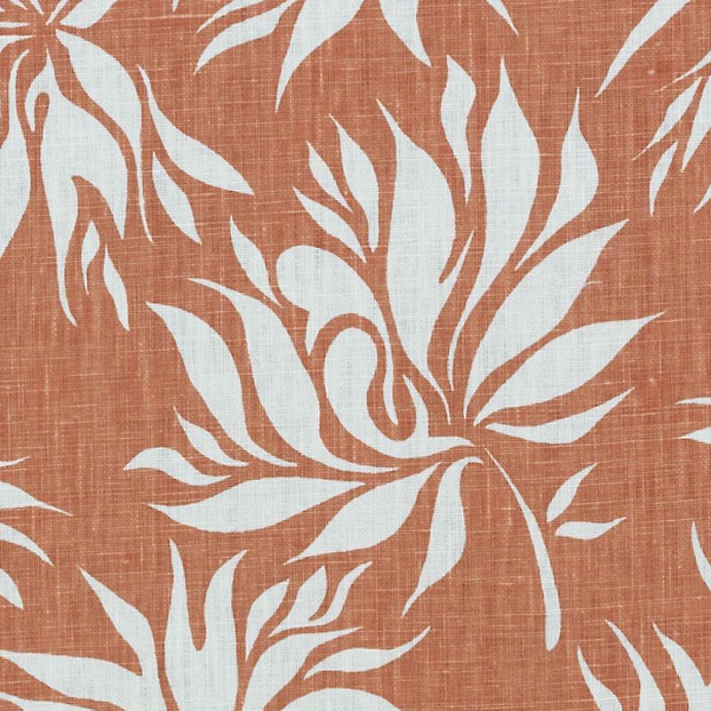 Le42546 | 31-Coral