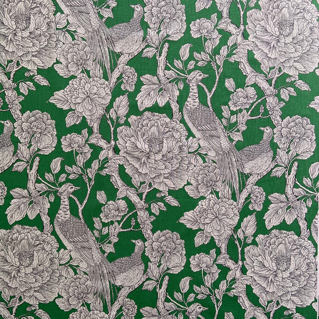 SE42595 | 2-GREEN