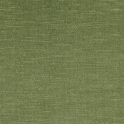 190235H | 21-AVOCADO