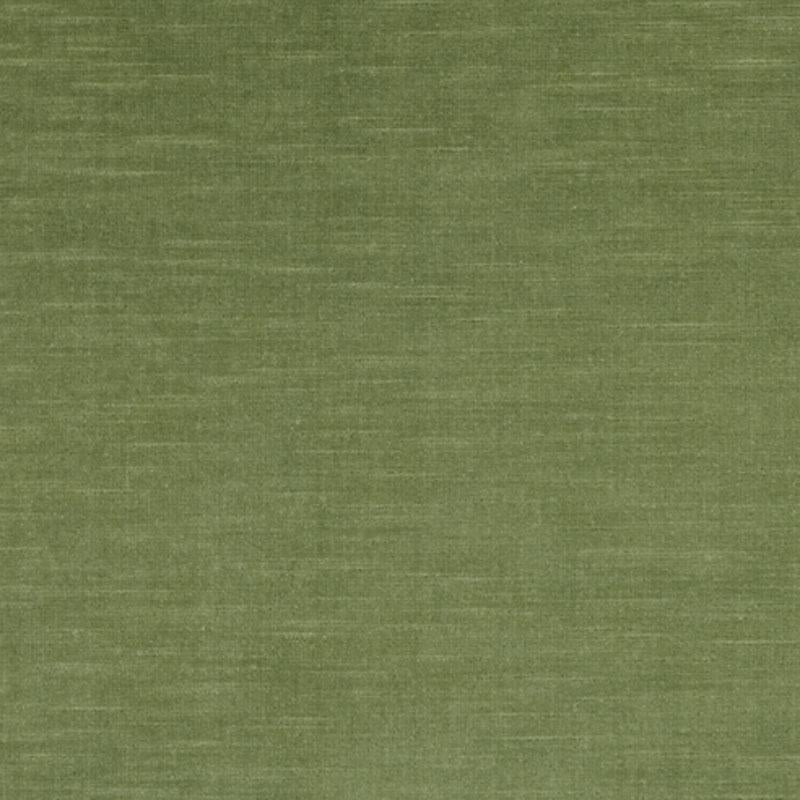 190235H | 21-AVOCADO