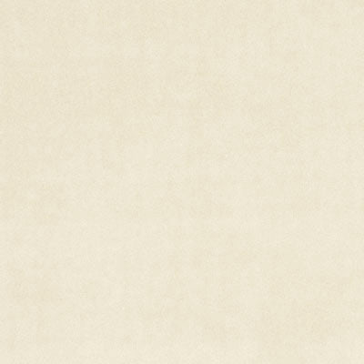 F0753 | 26-BIRCH - Upholstery - Fabric