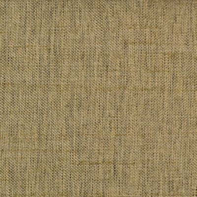 51246 | 597-Grass - Drapery - Fabric