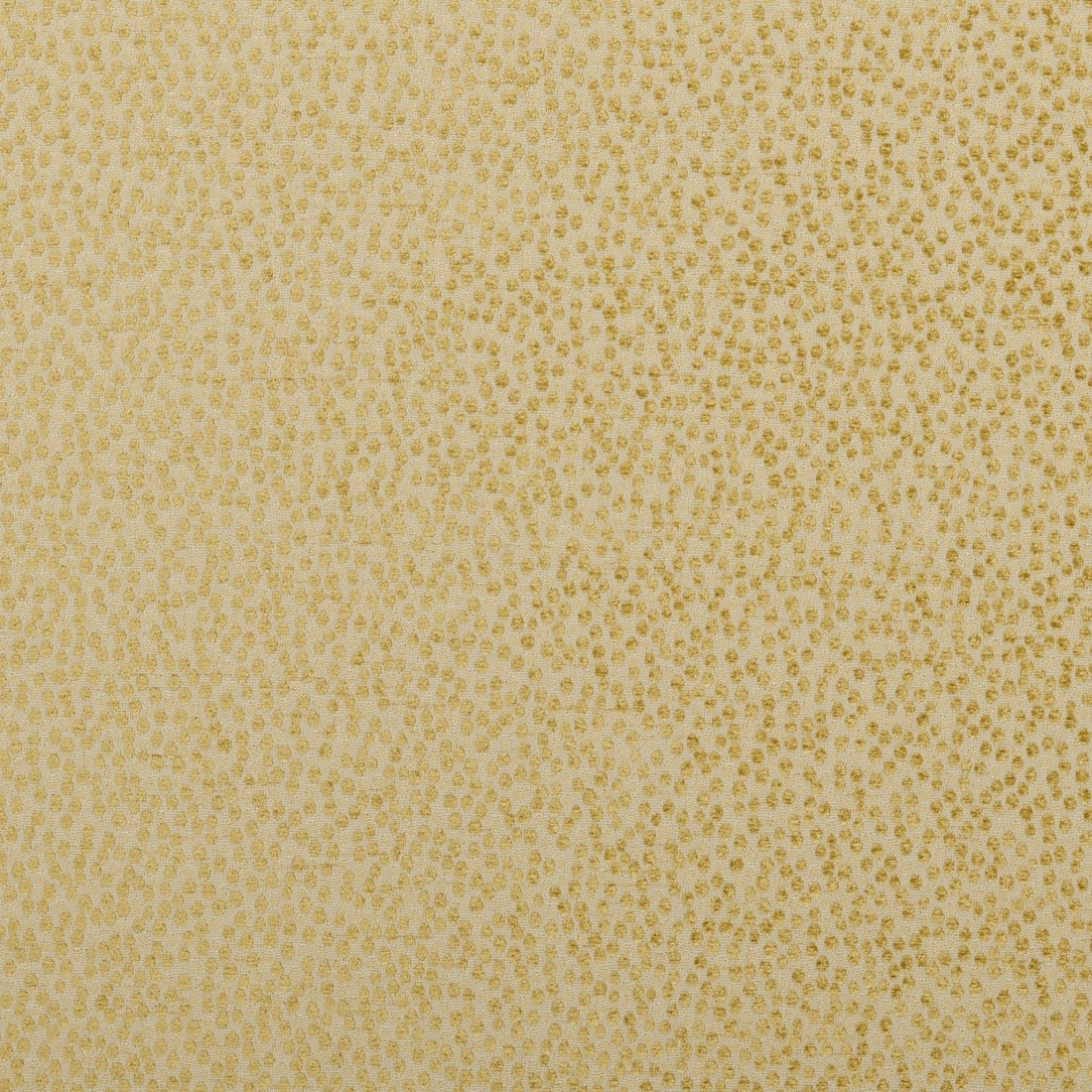 F0402 | 17-CITRUS - Upholstery - Fabric
