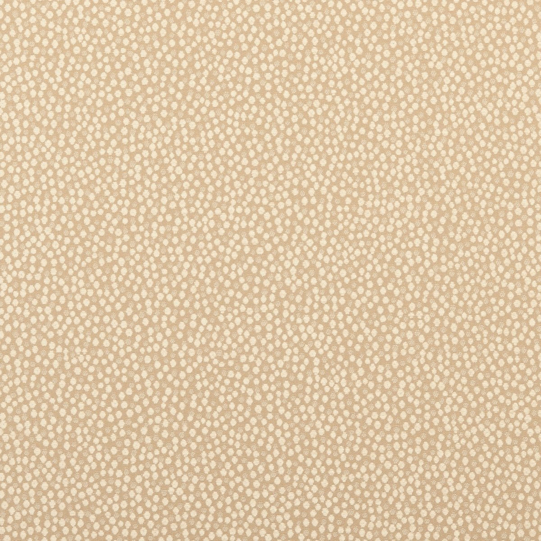 F0402 | 3-ECRU - Upholstery - Fabric