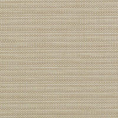 36260 | 494-SESAME - Upholstery - Fabric