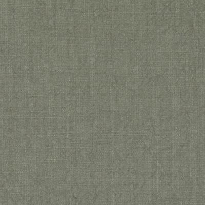 36274 | 343-CACTUS - Upholstery - Fabric