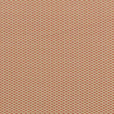 36254 | 31-CORAL - Upholstery - Fabric