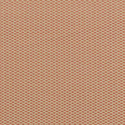 36254 | 31-CORAL