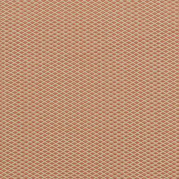36254 | 31-CORAL - Upholstery - Fabric