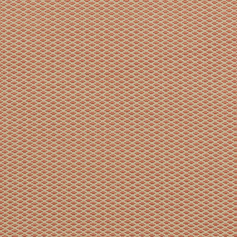 36254 | 31-CORAL