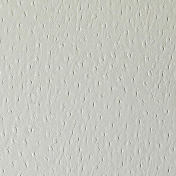 DF15793 | 85-PARCHMENT - Upholstery - Fabric