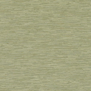 DK61162 | 254-SPRING GREE - Upholstery - Fabric