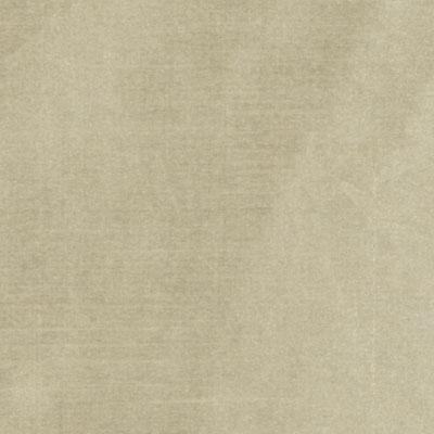DQ61335 | 509-ALMOND - Upholstery - Fabric