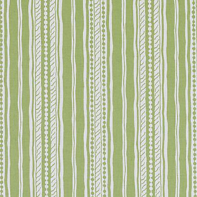 DP61448 | 212-APPLE GREEN