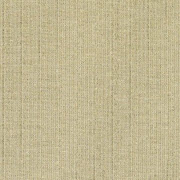 DD61485 | 112-HONEY - Drapery - Fabric