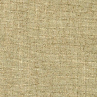 DD61543 | 25-CHARTREUSE - Drapery - Fabric
