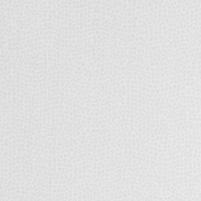DD61596 | 18-WHITE - Drapery - Fabric