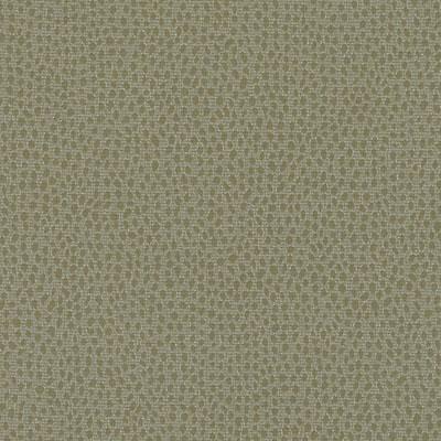 DD61596 | 303-FERN - Drapery - Fabric