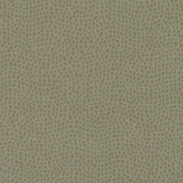 DD61596 | 303-FERN - Drapery - Fabric