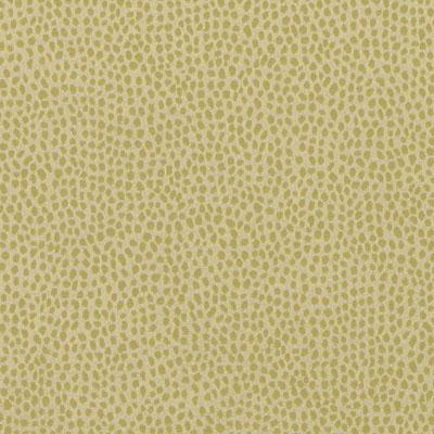 DD61596 | 320-LEAF - Drapery - Fabric
