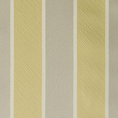 DJ61349 | 205-JONQUIL - Upholstery - Fabric