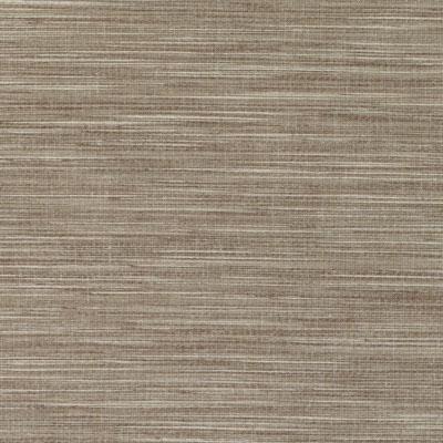 DD61595 | 10-BROWN - Drapery - Fabric
