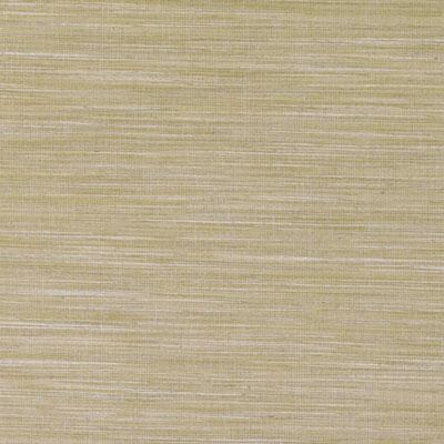 DD61595 | 62-ANTIQUE GOLD - Drapery - Fabric
