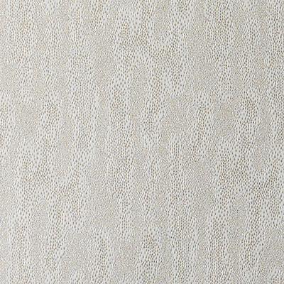 DD61634 | 88-CHAMPAGNE - Drapery - Fabric