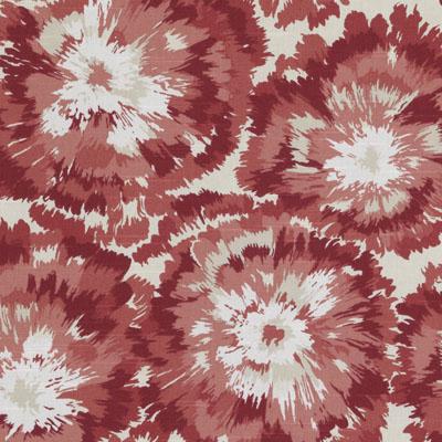 72110 | 224-BERRY