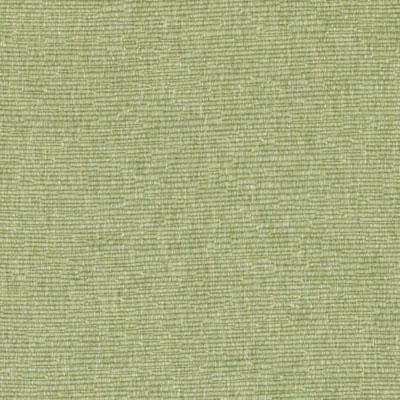 DK61276 | 303-FERN