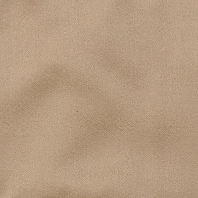 800256H | 88-CHAMPAGNE