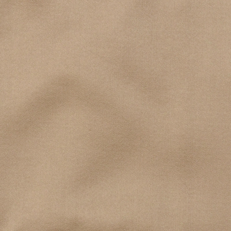 800256H | 88-CHAMPAGNE