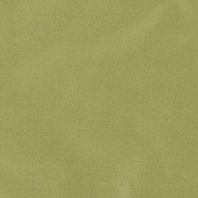 800255H | 208-ABSINTHE