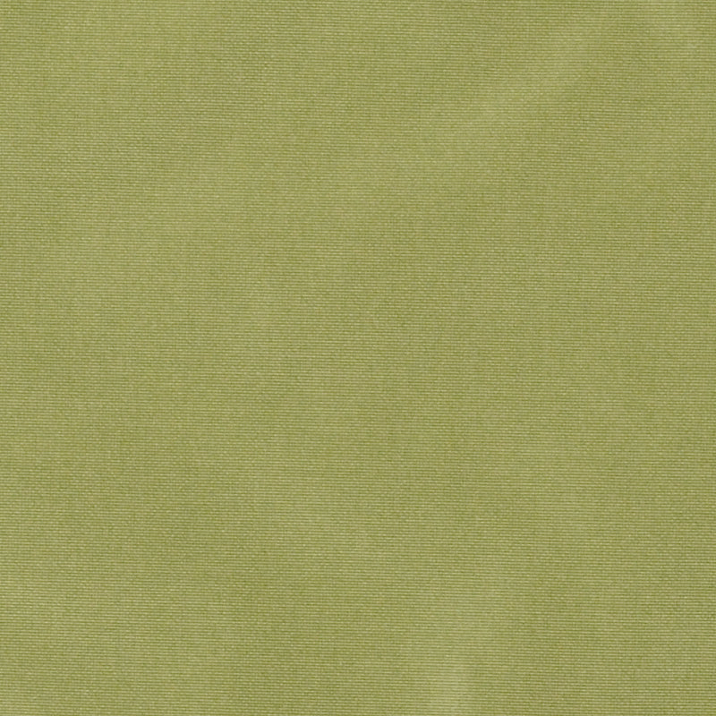 800255H | 208-ABSINTHE