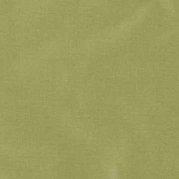 800255H | 208-ABSINTHE