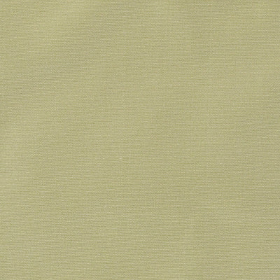800255H | 579-PERIDOT