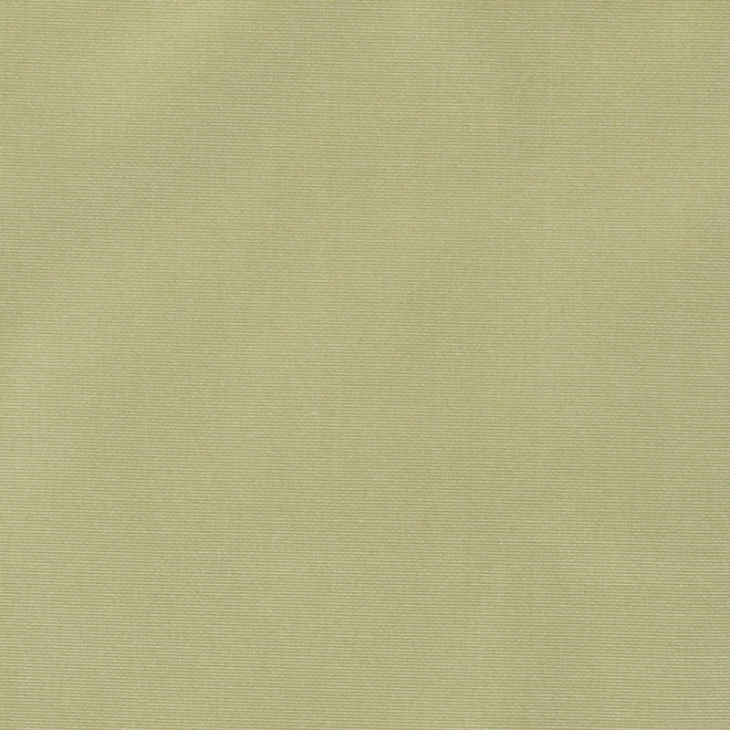 800255H | 579-PERIDOT
