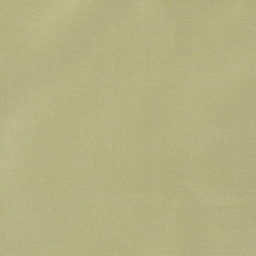800255H | 579-PERIDOT