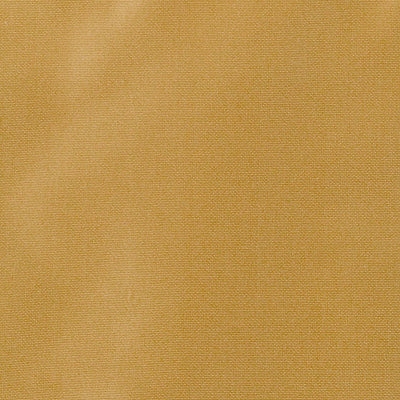 800255H | 779-DAFFODIL