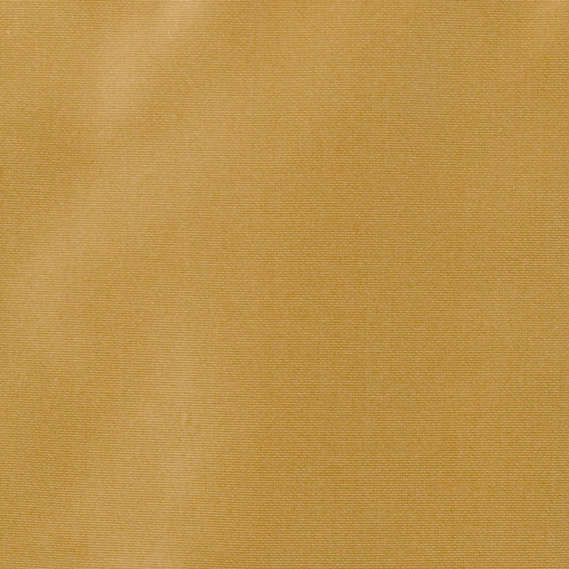800255H | 779-DAFFODIL