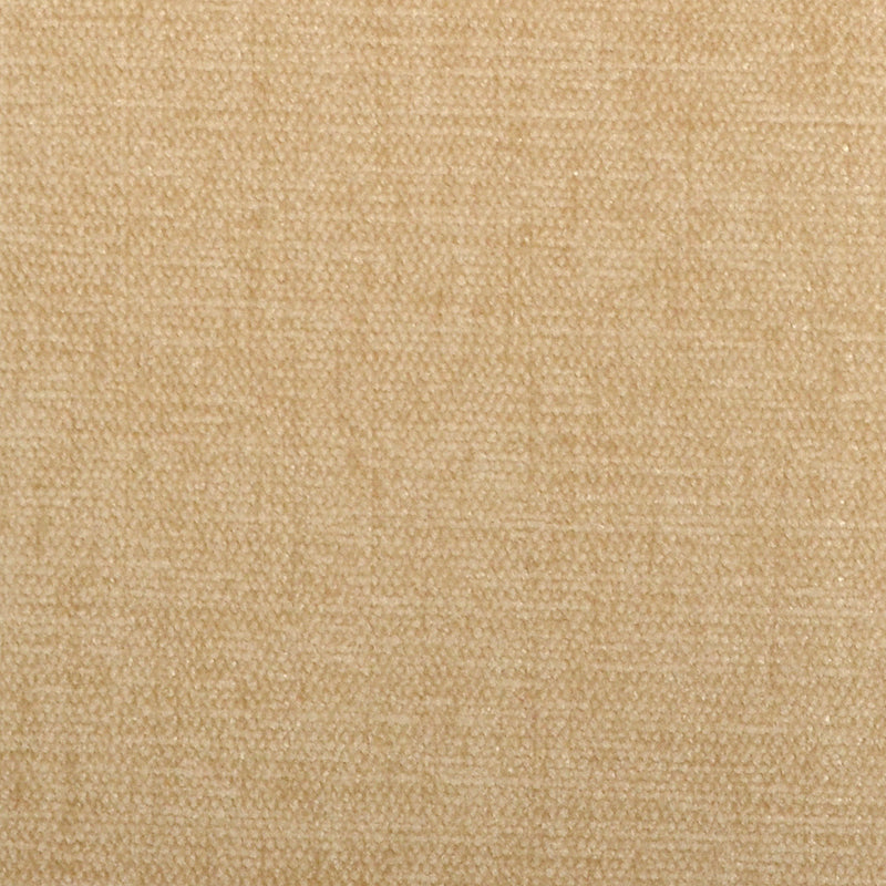 90875 | 283-CHAMOIS