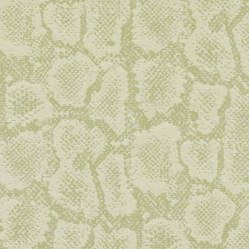 90935 | 243-HONEY DEW