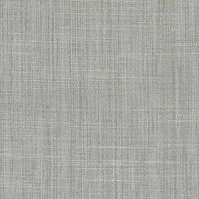 DK61487 | 296-PEWTER - Upholstery - Fabric