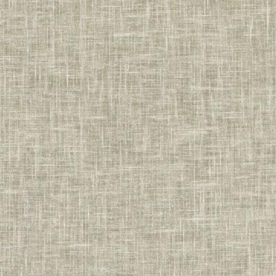 DD61467 | 564-BAMBOO - Drapery - Fabric